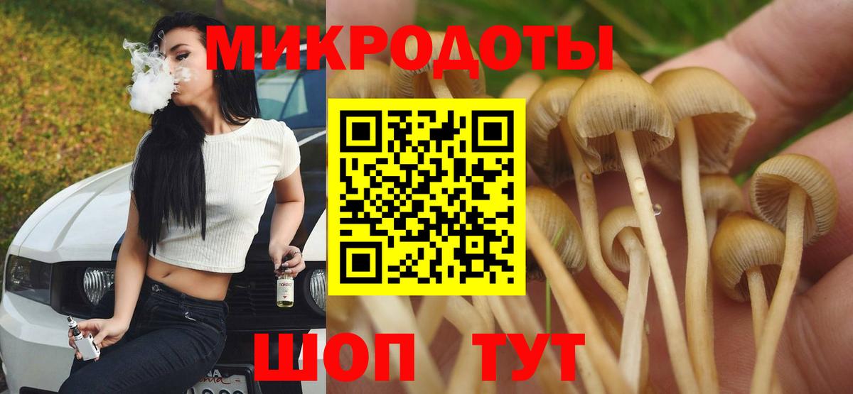 Казань  Псилоцибиновые грибы мицелий  Вход с VPN  Галлюциногенные грибы Psilocybine cubensis 